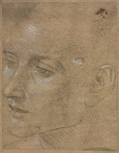 Głowa młodego mężczyzny autorstwa Filippino Lippi