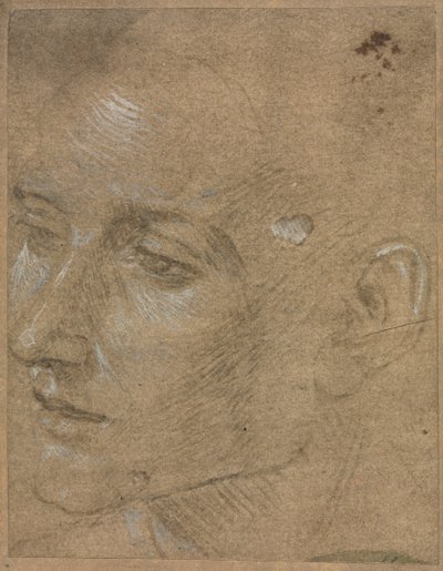 Głowa młodego człowieka, druga połowa 1400 roku. autorstwa Filippino Lippi