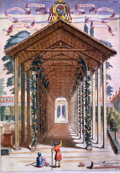 Trellized Covered Walkway, z „Hesperyd” Giovanniego Battisty Ferrari, grawerowane przez Camillo Congio (fl.1630), opublikowane 1646 autorstwa Filippo Gagliardi