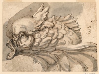 Rysunek, głowa delfina, ok. 1775 r. autorstwa Filippo Marchionni
