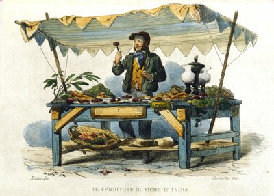 Mały metier miasta Neapolu: sprzedawca kolczyków. Grawer wg obrazu F. Palizzy. Z dzieła Francesco de Bourcard „” Costumi del regno di Napoli”” autorstwa Filippo Palizzi