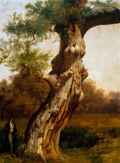 Drzewo (olej na płótnie) autorstwa Filippo Palizzi