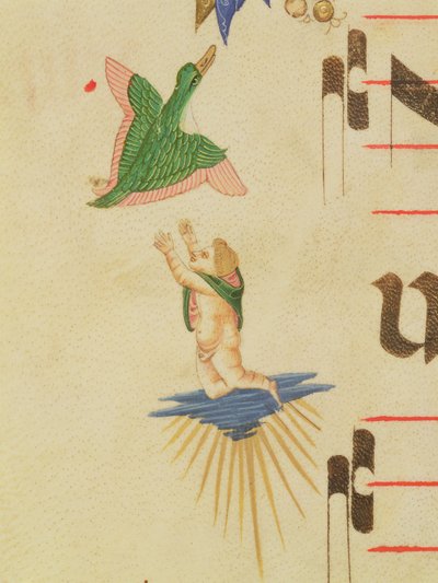 Mszał 515 f.13v Zamaskowany cherubin usiłujący złapać latającego ptaka, z ozdobnej bordiury, szczegół z Księgi chóralnej wykonany przed 1449 r., szczegół welinowy z 56721 autorstwa Filippo di Matteo Torelli