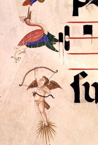 Mszał 515 f.5r Aniołek strzelający do bociana łukiem i niewidzialną strzałą, fragment ozdobnej bordiury z Księgi Chóralnej wykonany przed 1449 r. (wellum) autorstwa Filippo di Matteo Torelli