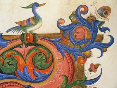 Mszał 515 f.92v Liście zoomorficzne z ptakiem przypominającym kaczkę i motylem, detal dekoracji wokół historycznego inicjału z księgi chórów wykonanej przed 1449 r., welin autorstwa Filippo di Matteo Torelli