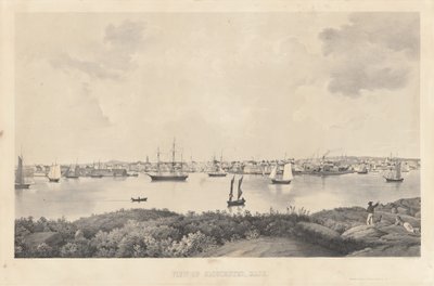 Widok Gloucester, Mass. autorstwa Fitz Henry Lane