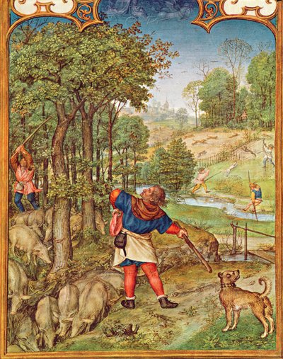 Fol.11v Miesiąc listopad: Zbieranie żołędzi dla świń i polowanie, z Breviarium Grimani, c.1515 autorstwa Flemish School