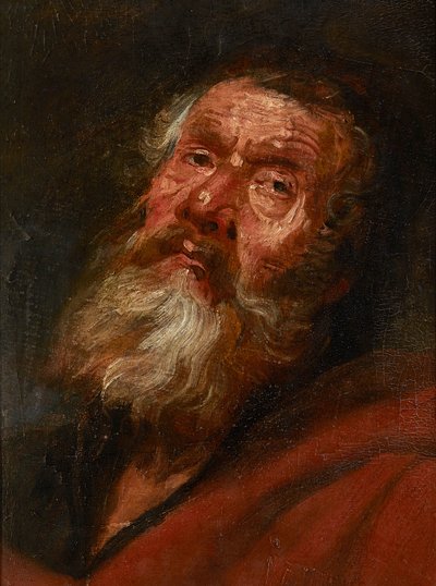 Szkic głowy apostoła (olej na papierze ułożonym na płótnie, ułożonym na desce dębowej) autorstwa Flemish School