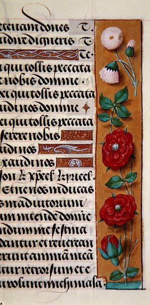Ms. 1058-1975, f.120r: fragment bordiury kwiatowej z Godzinki, ok. 1500 (welin) autorstwa Flemish School