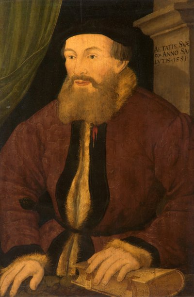 Portret mężczyzny, 1551 autorstwa Flemish School