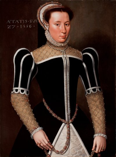 Portret kobiety, 1556 autorstwa Flemish School