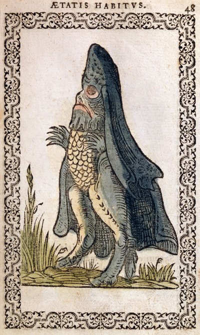 Biskup morski lub potwór morski, ilustracja z Nawyki i portrety prawie wszystkich narodów i narodów współczesnych, Jean Sluperji, Antwerpia, 1572 (kolorowy drzeworyt) autorstwa Flemish School