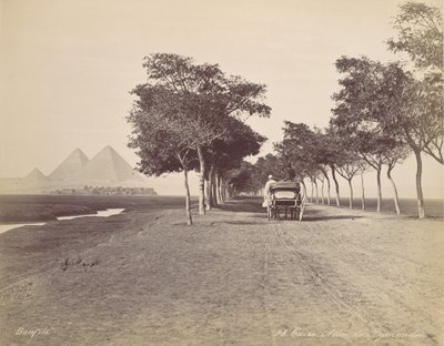 Kair. Aleja Piramid, ca. 1870. autorstwa Félix Bonfils
