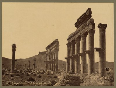 Fragment Wielkiej Kolumnady, w oddali zamek Qala’at Ibn Maan, Palmyra, ok. 1875 (druk albumowy) autorstwa Félix Bonfils