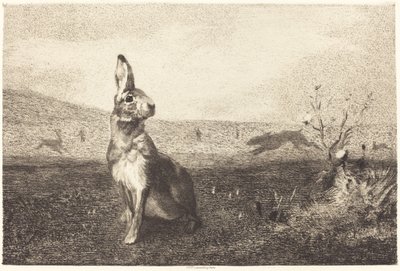 Zając autorstwa Félix Bracquemond after Albert de Balleroy