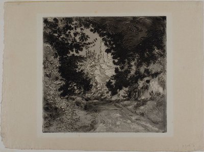 Chemin de Coutures w Sèvres autorstwa Félix Henri Bracquemond