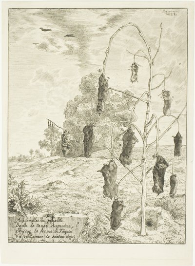 Krety autorstwa Félix Henri Bracquemond