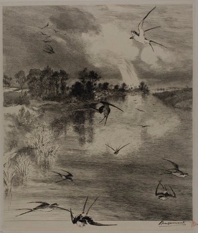 Jaskółki autorstwa Félix Henri Bracquemond