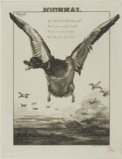 Kaczka autorstwa Félix Henri Bracquemond