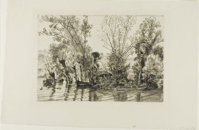 Wierzby w Mottiaux autorstwa Félix Henri Bracquemond