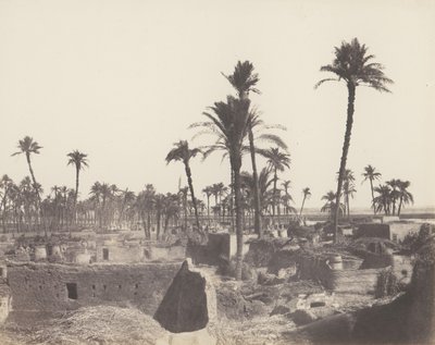 Abaziz, Wnętrze wioski arabskiej, 1851-52, druk 1853-54. autorstwa Félix Teynard