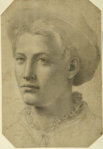 Portret głowy młodzieńca w czapce, ok. 1530-40 (czarna kreda na białym papierze) autorstwa Florentine School