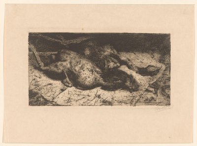 Geplukte hanen (tytuł oryginalny) autorstwa Floris Verster (signed by artist)