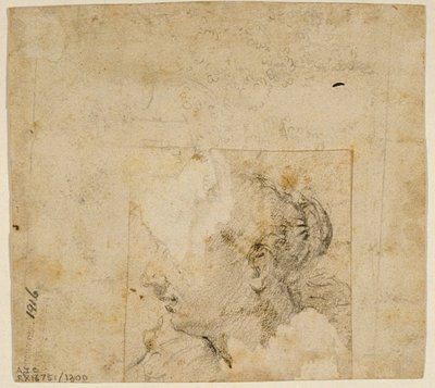 Głowa kobiety w profilu w lewo; Szkic drzew i budynku autorstwa Follower of Jacopo Bassano