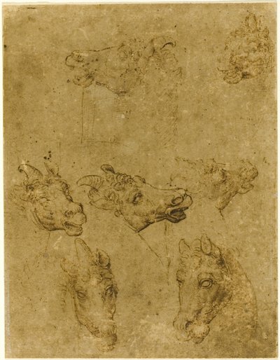 Głowy koni i jednorożców autorstwa Follower of Leonardo da Vinci