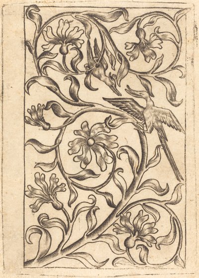 Ozdoba winorośli z dwoma ptakami autorstwa Follower of Master of the Playing Cards