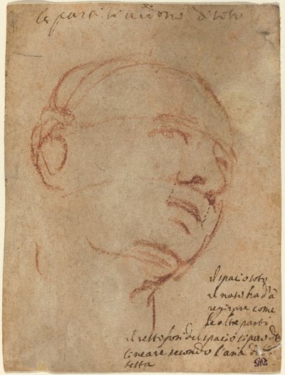 Głowa mężczyzny autorstwa Follower of Michelangelo