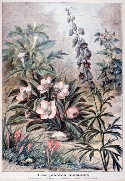 Rośliny szkodliwe, 1897 autorstwa Fortuné Méaulle