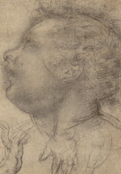 Głowa dziecka, anioł i ręka (recto); postać mężczyzny (verso) autorstwa Fra Bartolommeo (Baccio della Porta)
