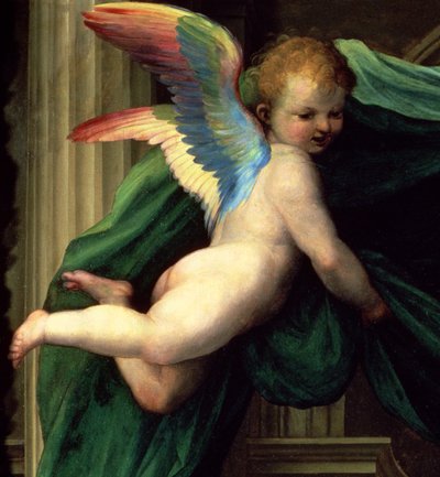 Mistyczne Wesele św. Katarzyny ze Sieny ze świętymi, fragment anioła, 1511 olej na fragmencie deski z 93870 autorstwa Fra Bartolommeo
