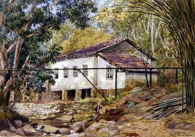 Brytyjskie Indie Zachodnie (akwarela na papierze) autorstwa Frances C. Fairman