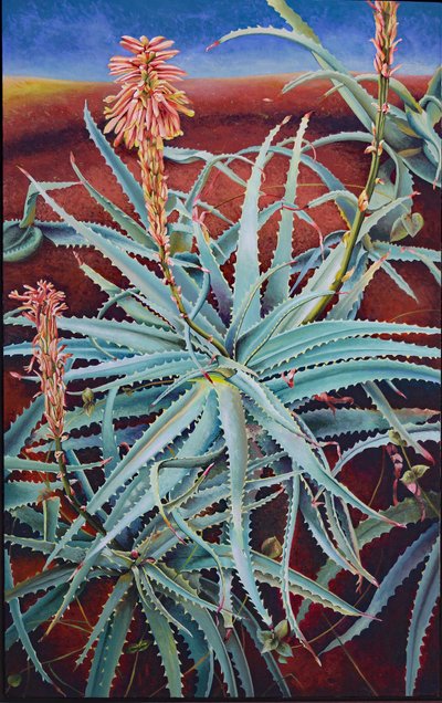 Aloes autorstwa Frances Ferdinands