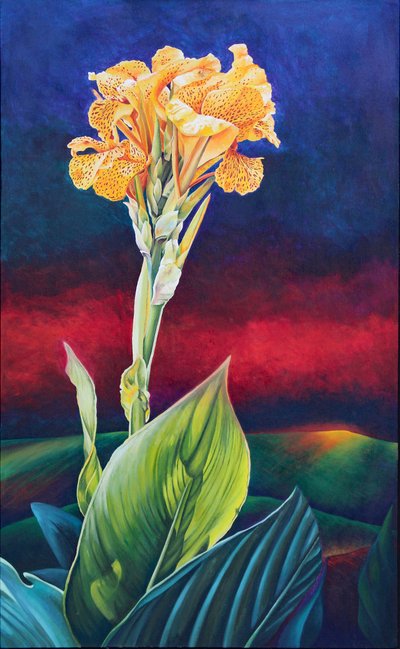 Żółta lilia Canna autorstwa Frances Ferdinands