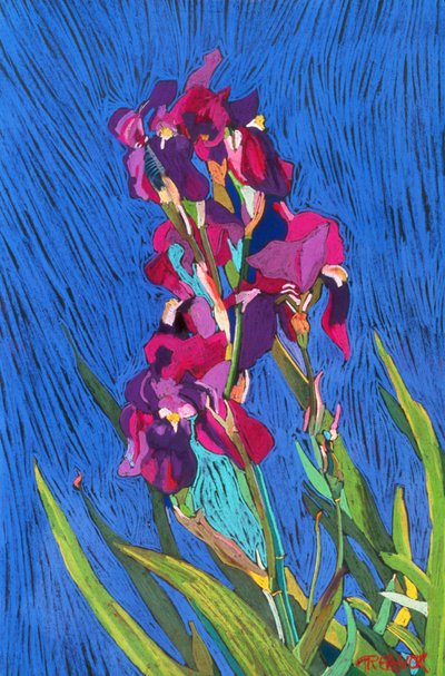 Irysy autorstwa Frances Treanor