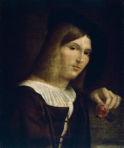 Portret młodzieńca z różą autorstwa Francesco Torbido