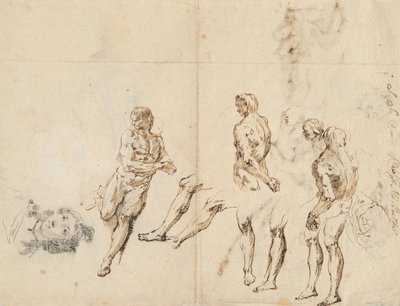 Głowa kobiety i studia aktu męskiego [verso] autorstwa Francesco Fontebasso