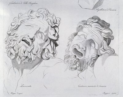 Głowy Laokoona i Centaura w kostnicy autorstwa Canovy autorstwa Francesco Hayez