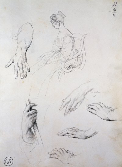 Studium do portretu Cristiny Trivulzio Belgiojoso autorstwa Francesco Hayez