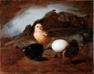 Pisklęta (pisklęta) Obraz Francesco Inganni (1793-1873) 1862 Dim 25,6x33,2 cm Genes, Galleria d