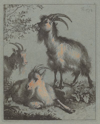 Trzy Kozy, 1758. autorstwa Francesco Londonio