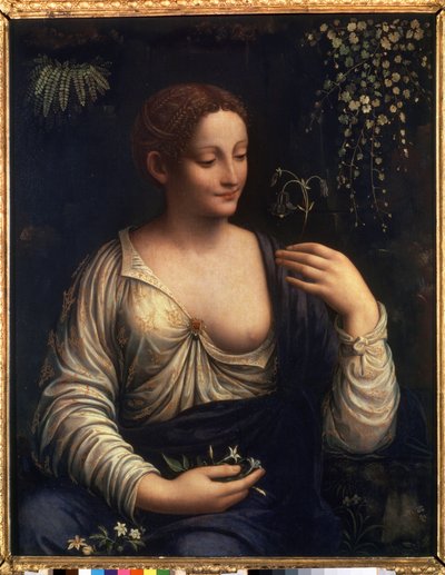 „Flora” (Flora) Obraz Francesco Melzi (1493-ok. 1570) 1510-1515 wym. 76x63 cm Muzeum Ermitażu w Sankt Petersburgu autorstwa Francesco Melzi or Melzo