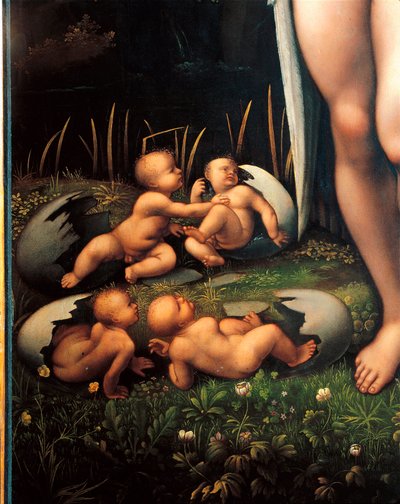 Leda i łabędź (detal) autorstwa Francesco Melzi or Melzo