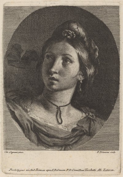 Głowa młodej kobiety autorstwa Francesco Polanzani after Carlo Cignani