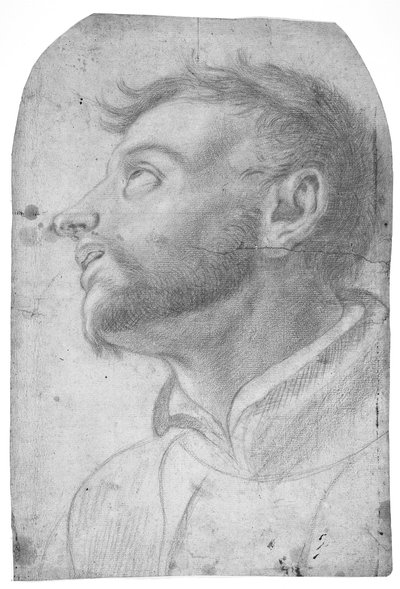 Głowa mężczyzny spoglądającego w górę autorstwa Francesco Solimena