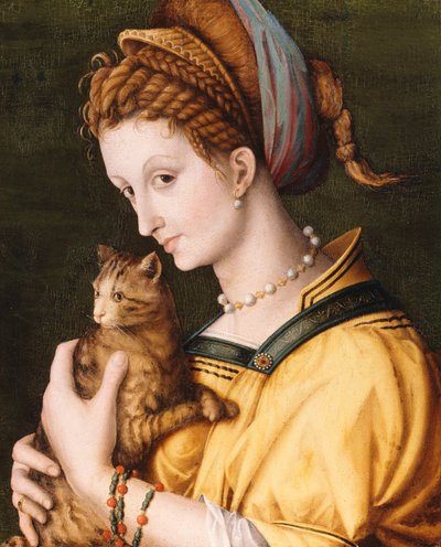 Dama z kotem, ok.1525-30 autorstwa Francesco Ubertini Bacchiacca