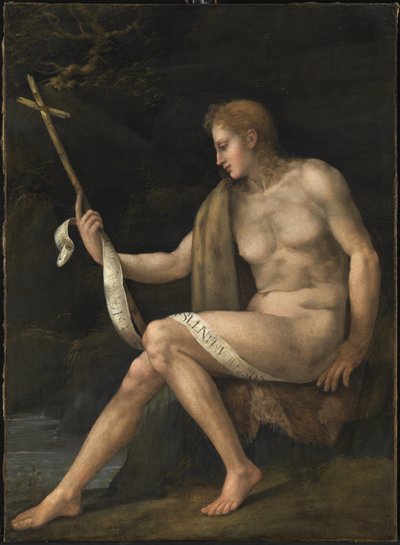 Św. Jan Chrzciciel na pustkowiu autorstwa Francesco Ubertini Bacchiacca